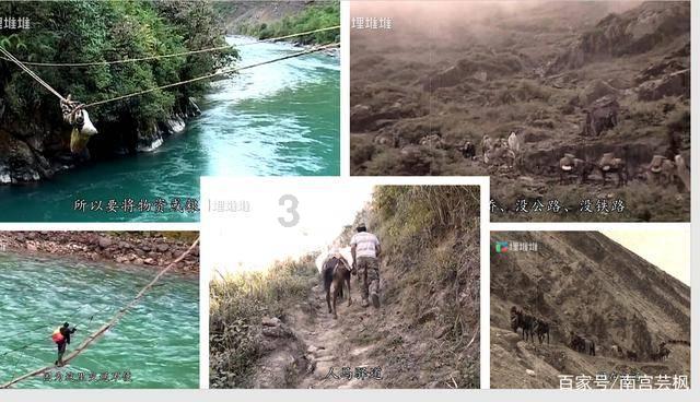 侨看两会｜为浙江发展建言献策，今年浙江省侨联界别委员带来这些提案