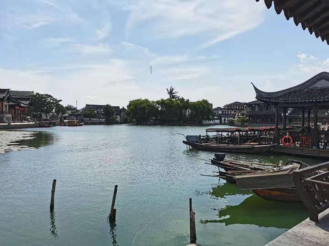 无休止的树
